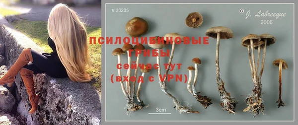 не бодяженный Михайловск