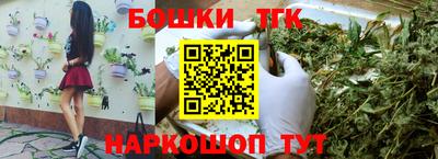 стафф Донской