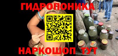 стафф Донской