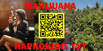 стафф Донской
