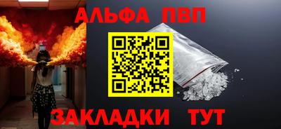 стафф Донской