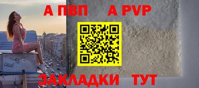 стафф Донской