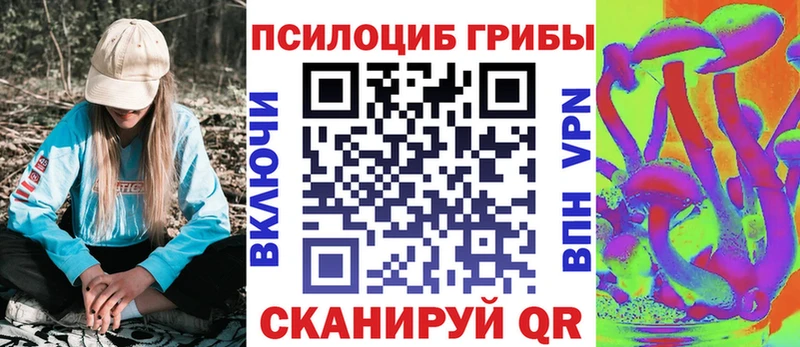 купить закладку  Электрогорск  Псилоцибиновые грибы мицелий 