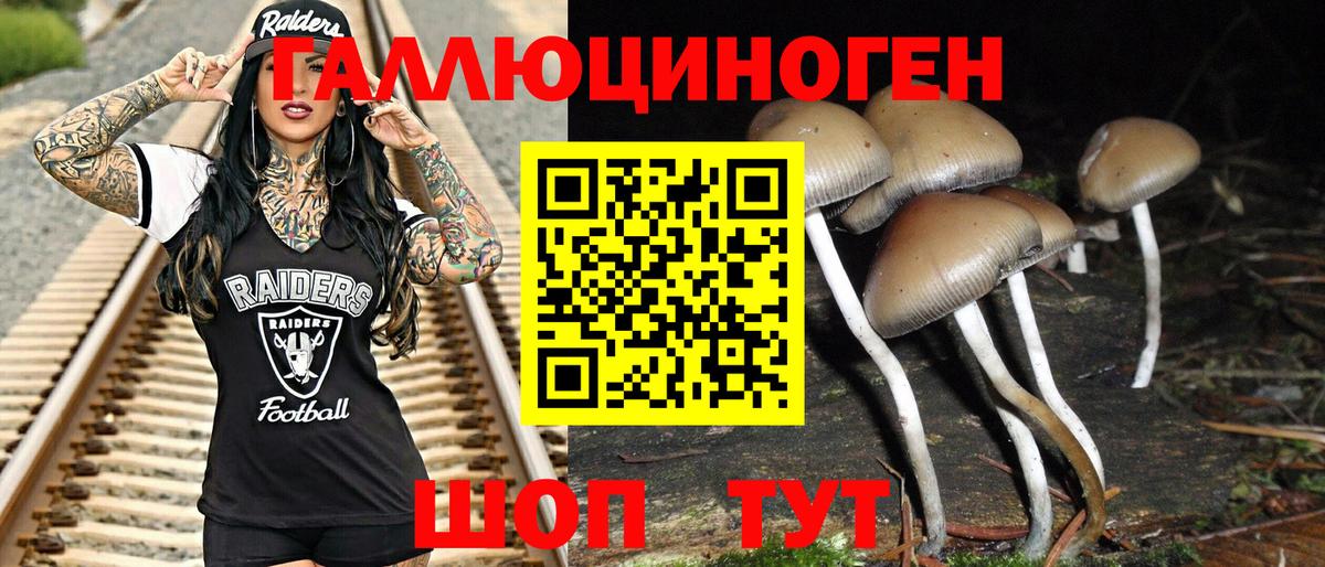Галлюциногенные грибы MAGIC MUSHROOMS Электрогорск