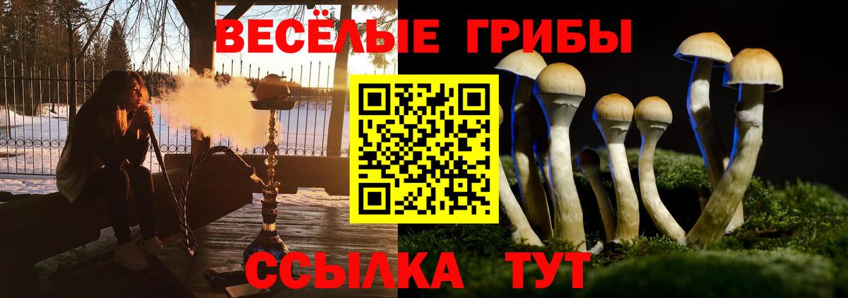 Псилоцибиновые грибы мицелий  Галлюциногенные грибы Psilocybine cubensis  Электрогорск 